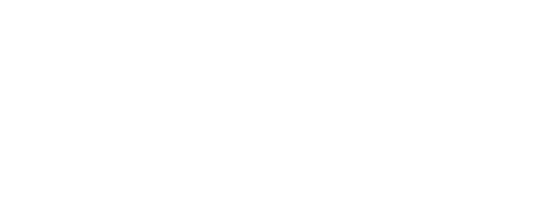 Oso blanco